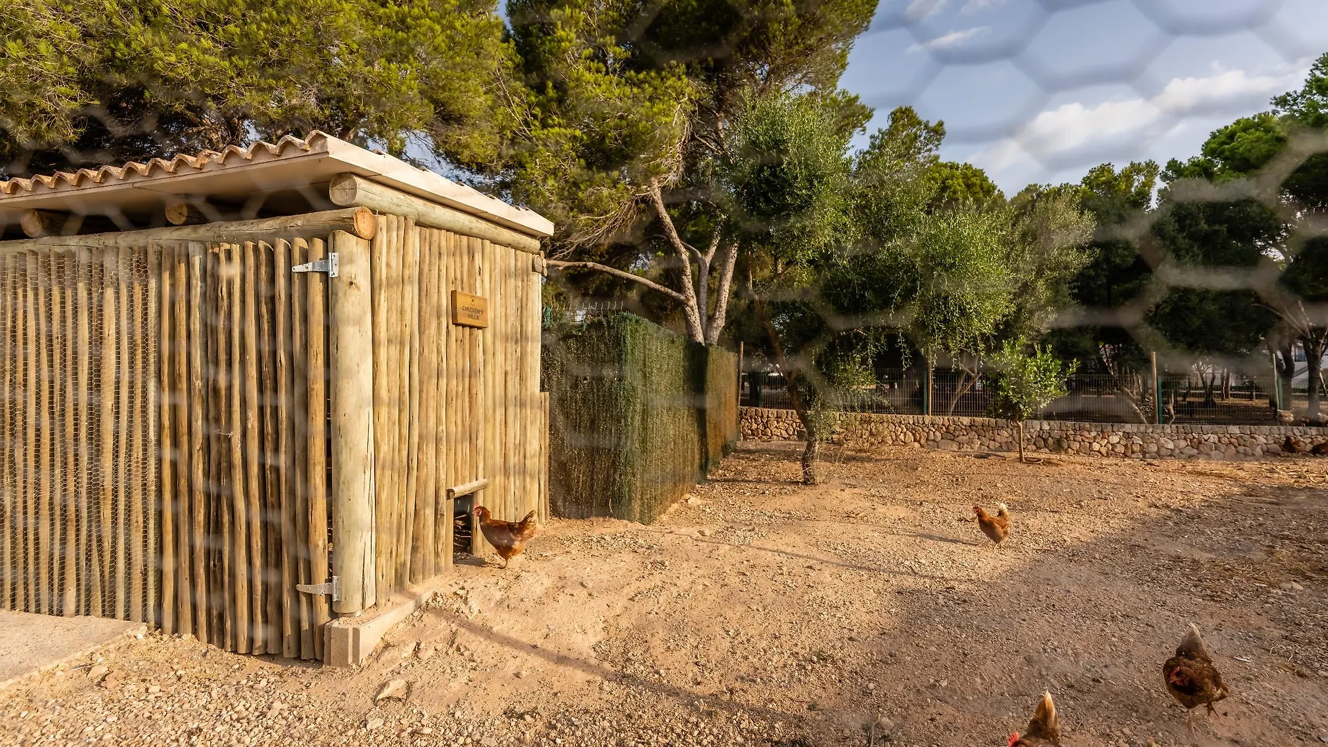 Lago Resort Menorca - Villas&Bungalows del Lago Cala'N Bosch